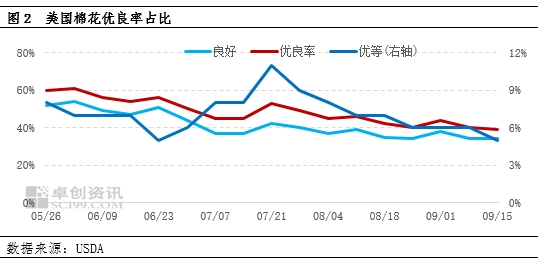 USDA棉花报告利多，降息再为美棉市场加把火